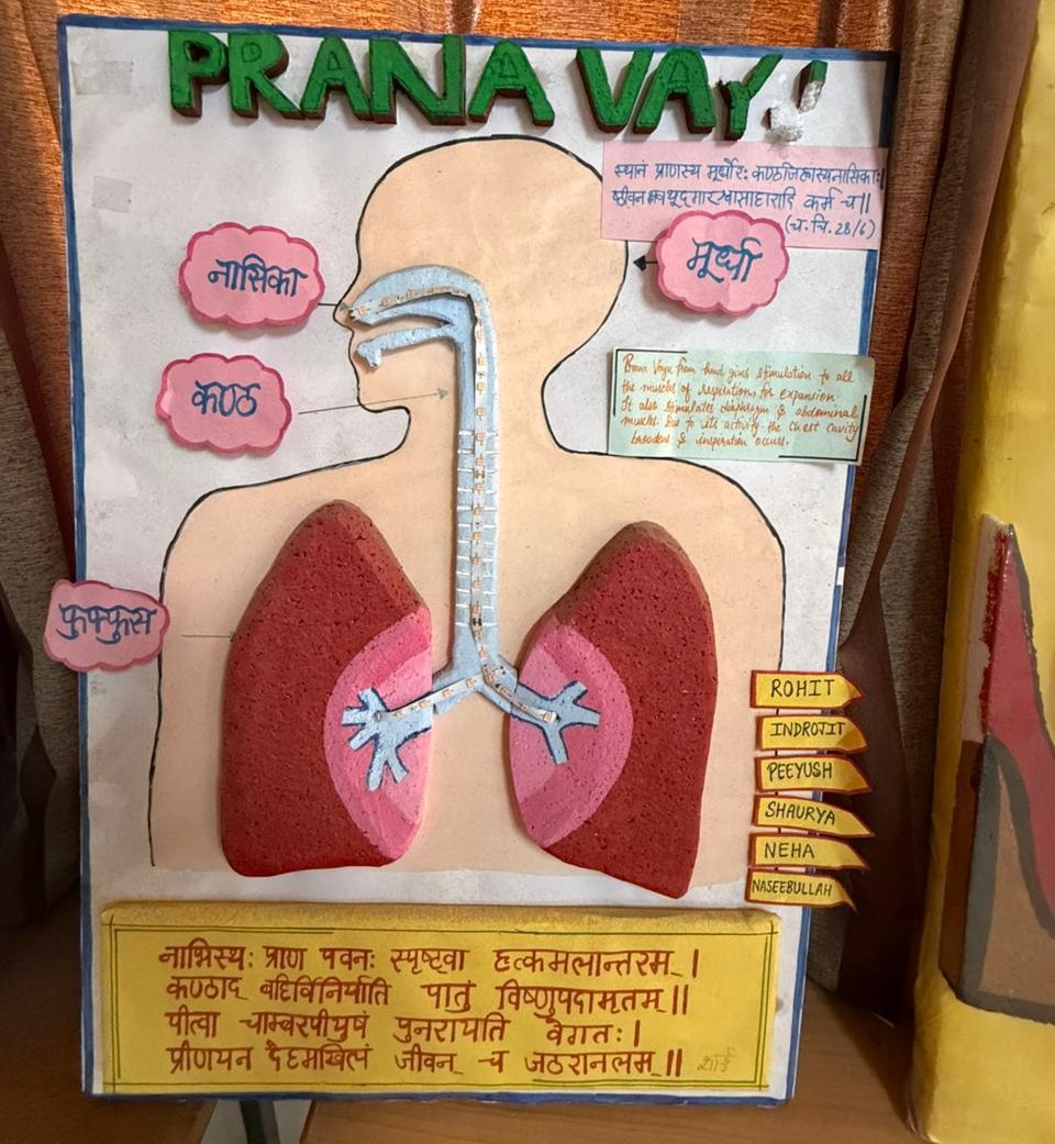 Department of Shalya Tantra - Key area 3